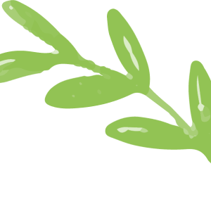 Leaves Free Img Rhv6b3s57nv8xgz930vry8qeplkze8ht8ap7hjjvso